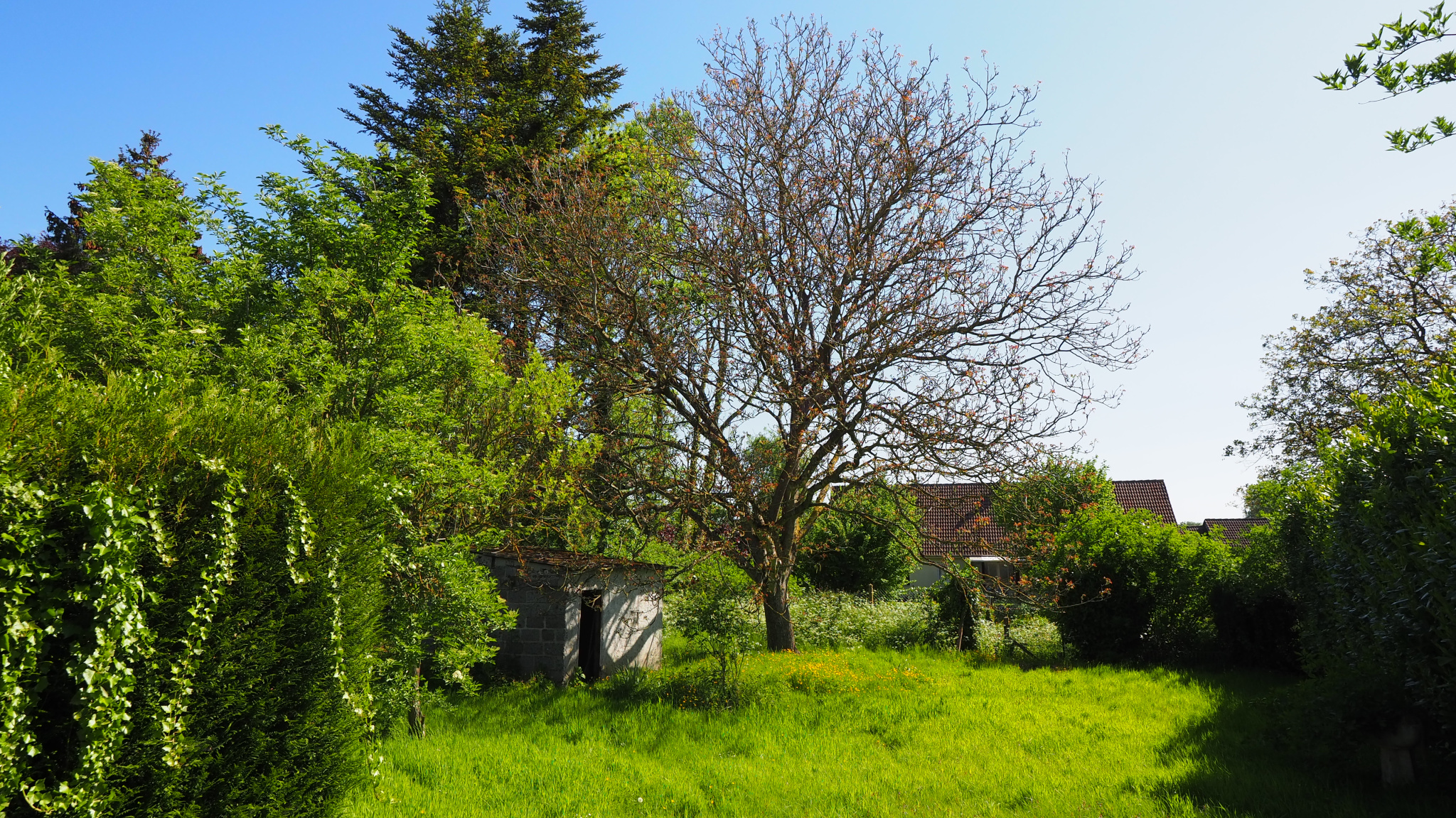 Immo80 – L'immobilier à Amiens et dans la Somme-Exclusif St Leger-Les-Domart