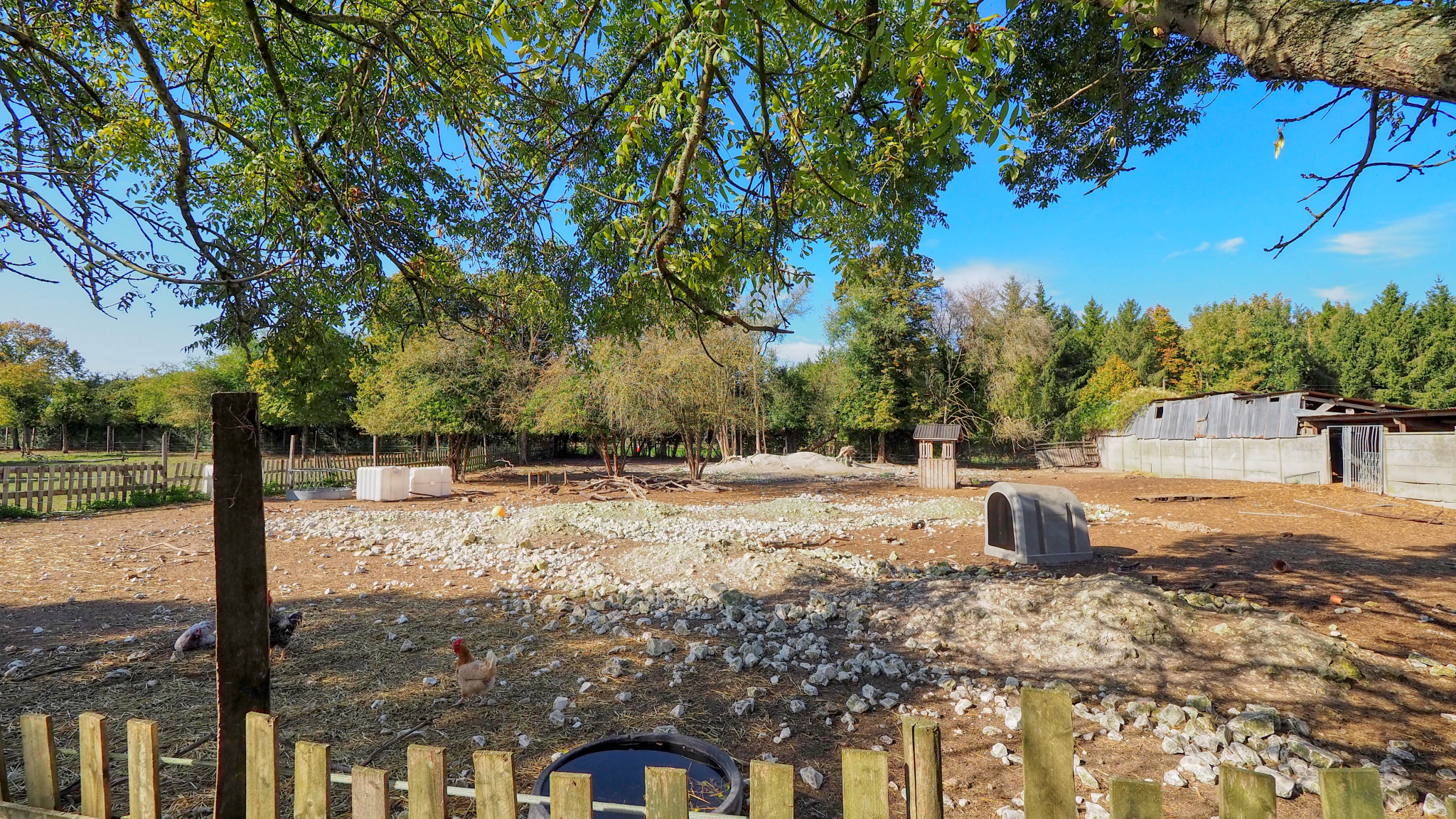 Immo80 – L'immobilier à Amiens et dans la Somme-Corps de ferme Amiens ,1 hectare de terrain .