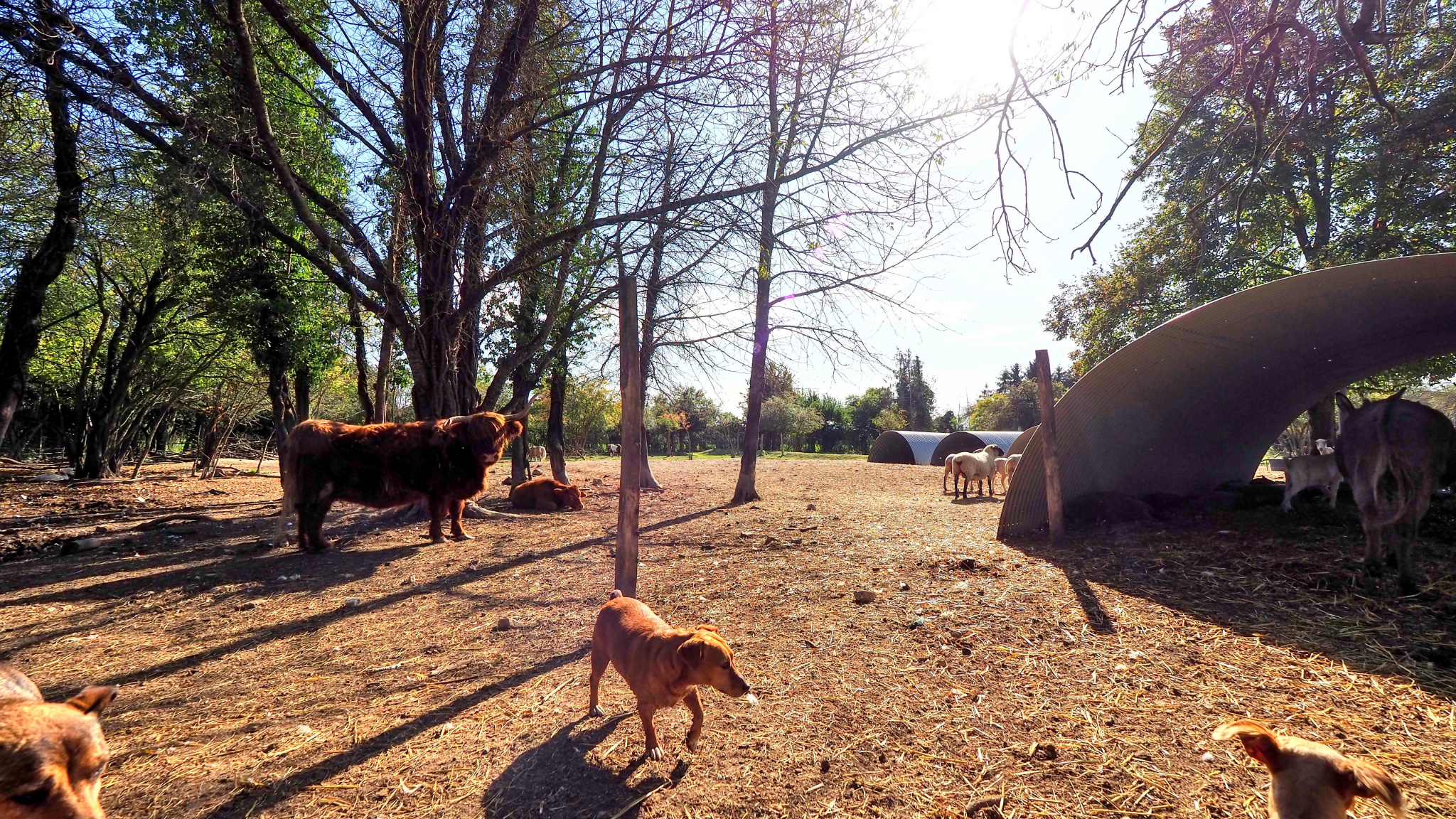 Immo80 – L'immobilier à Amiens et dans la Somme-Corps de ferme Amiens ,1 hectare de terrain .