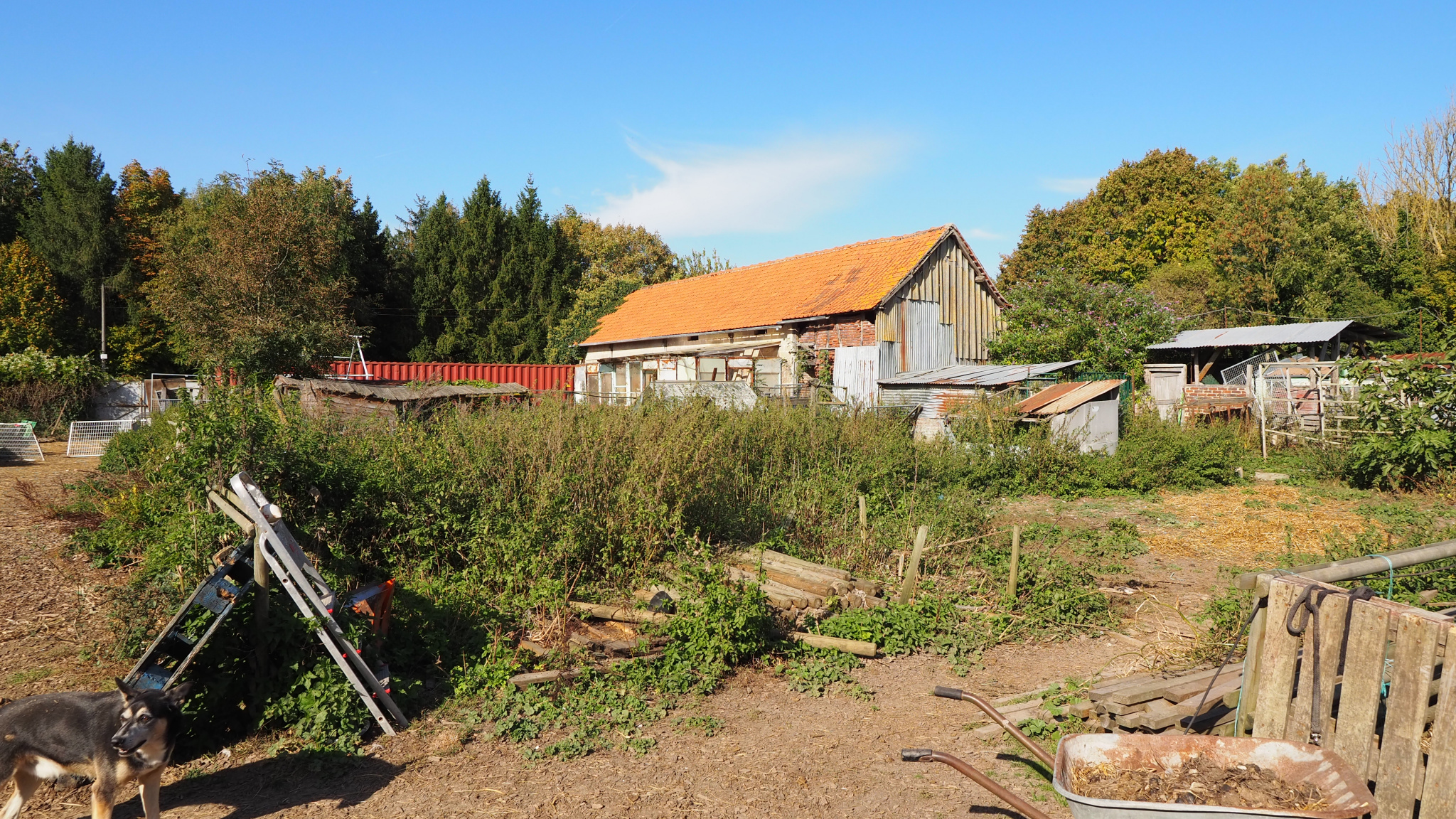 Immo80 – L'immobilier à Amiens et dans la Somme-Corps de ferme Amiens ,1 hectare de terrain .