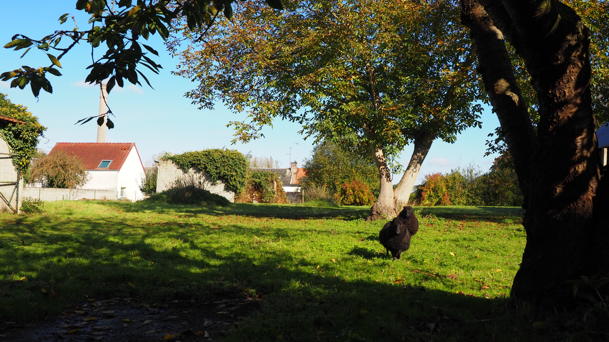 Immo80 – L'immobilier à Amiens et dans la Somme-Corps de ferme secteur Flixecourt .