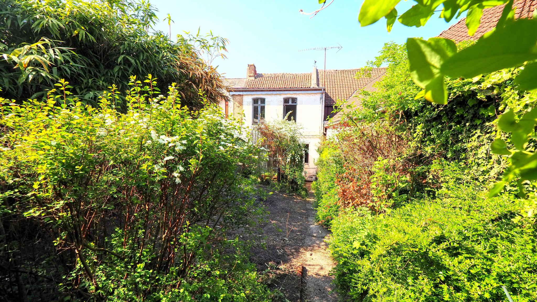 Immo80 – L'immobilier à Amiens et dans la Somme-Exclusif Domart-En-Ponthieu